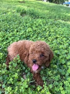 photo_20_2025-12-06_11-40-45