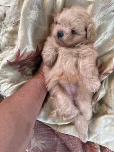 photo_23_2025-12-06_11-40-45