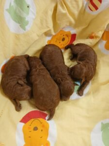 photo_27_2025-12-06_11-40-45