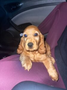 photo_30_2025-12-06_11-40-45