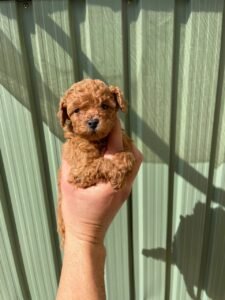 photo_31_2025-12-06_11-40-45