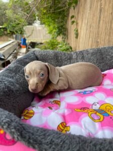 photo_40_2025-12-06_11-40-45