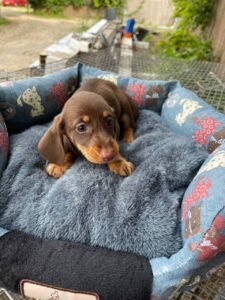 photo_42_2025-12-06_11-40-45