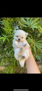 photo_44_2025-12-06_11-40-45