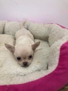 photo_45_2025-12-06_11-40-45