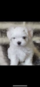 photo_48_2025-12-06_11-40-45