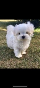 photo_49_2025-12-06_11-40-45