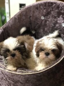 photo_50_2025-12-06_11-40-45