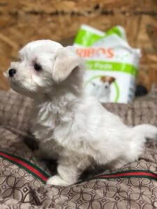 photo_51_2025-12-06_11-40-45