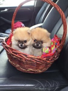 photo_57_2025-12-06_11-40-45