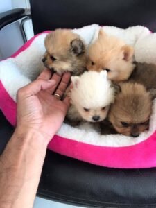 photo_59_2025-12-06_11-40-45