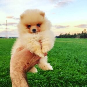 photo_60_2025-12-06_11-40-45