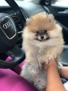 photo_62_2025-12-06_11-40-45