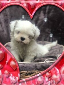 photo_63_2025-12-06_11-40-45