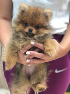 photo_64_2025-12-06_11-40-45