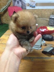 photo_65_2025-12-06_11-40-45