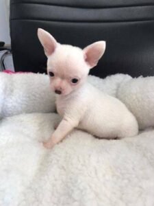 photo_67_2025-12-06_11-40-45