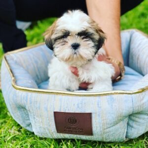 photo_69_2025-12-06_11-40-45