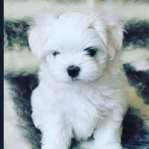 photo_70_2025-12-06_11-40-45