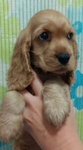 photo_71_2025-12-06_11-40-45