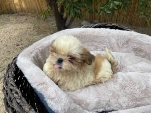 photo_77_2025-12-06_11-40-45