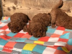 photo_78_2025-12-06_11-40-45