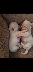 photo_79_2025-12-06_11-40-45