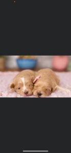 photo_83_2025-12-06_11-40-45