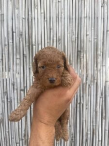 photo_88_2025-12-06_11-40-45